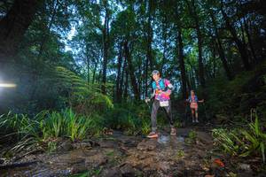 BIB: 
                            <button type="button" onclick="openModal(19241800)" class="btn btn-primary btn-sm float-right btn-popup" data-toggle="modal" data-target=".modal-high-quality">
                        <i class="fas fa-shopping-cart"></i> Add to Cart
                    </button>
                                            <button type="button" onclick="isThisMe(19241800, true)" class="btn btn-success btn-sm float-right btn-popup btn-isme hidden" data-toggle="tooltip" data-placement="bottom" title="นี่คือรูปของคุณใช่ไหม คลิกที่นี่เพื่อเอาเข้าอัลบั้ม">
                        <i class="fas fa-plus"></i> Add to album
                    </button>
                    <button type="button" onclick="isThisMe(19241800, false)" class="btn btn-warning btn-sm float-right btn-popup btn-isnotme hidden">
                        <i class="fas fa-ban"></i> Remove from album
                    </button>